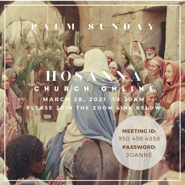 Copy_of_palm_sunday.png