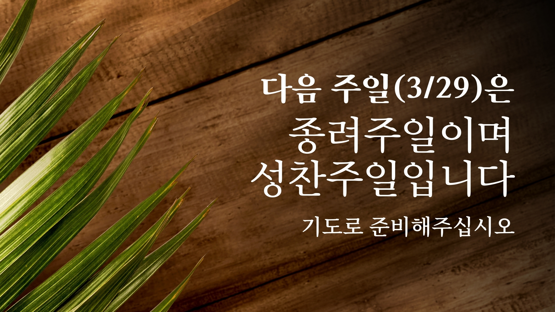 종려주일.jpg