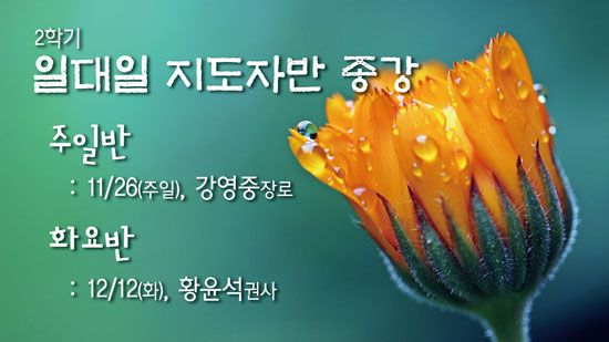 2학기_일대일지도자반종강.jpg