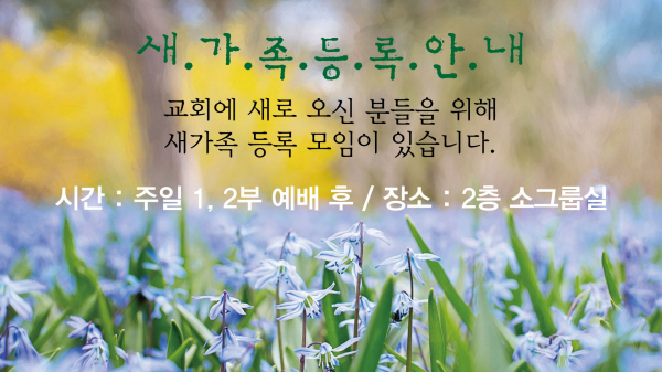 b_20150628_004.jpg