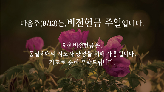 비전헌금1.jpg