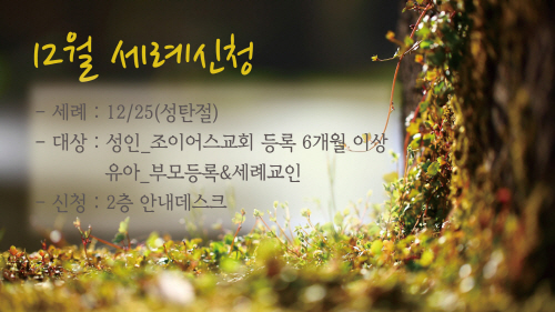 세례신청.jpg