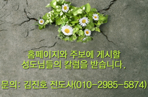 컬럼_copy.JPG
