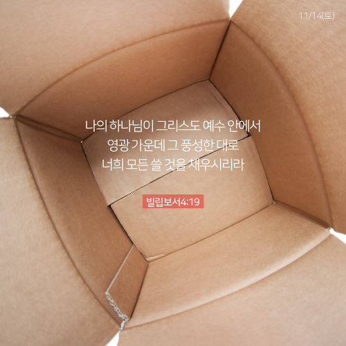D19_1114토.png