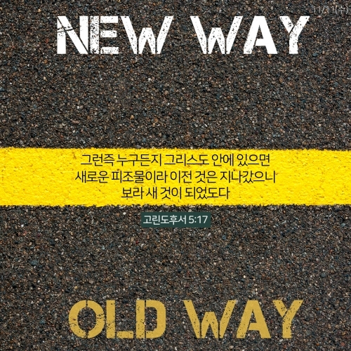 D22_1111수.jpg