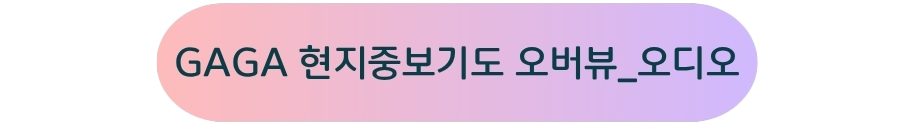 GAGA 현지중보기도 오버뷰_오디오