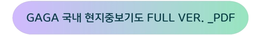 GAGA 국내 현지중보기도 FULL VER._PDF